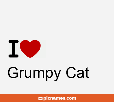 Grumpy Cat